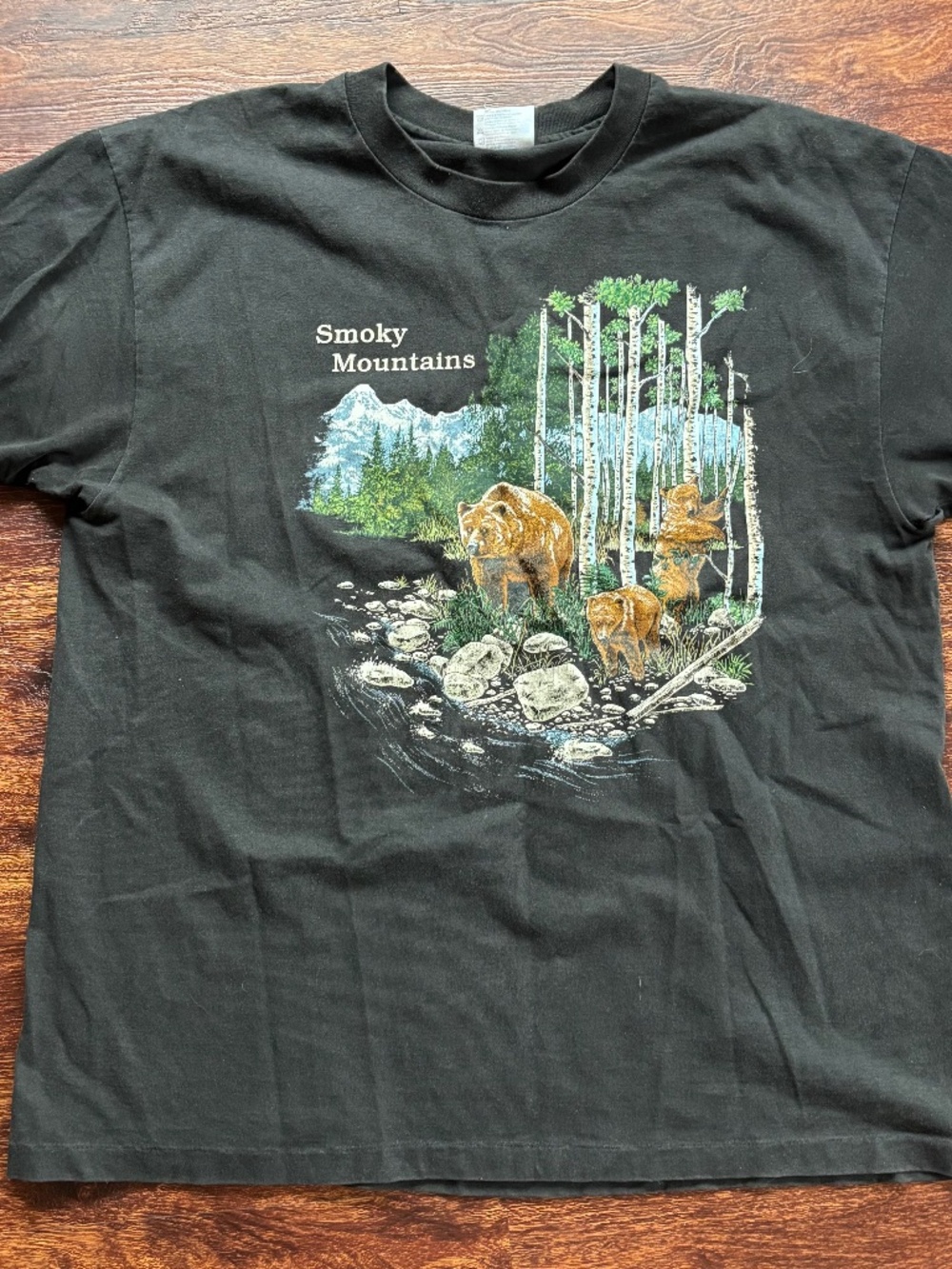 RARE Vintage Hanes Beefy National Park Bear Graphic T Shirt